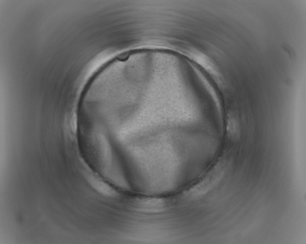 X0000113271372200910081351