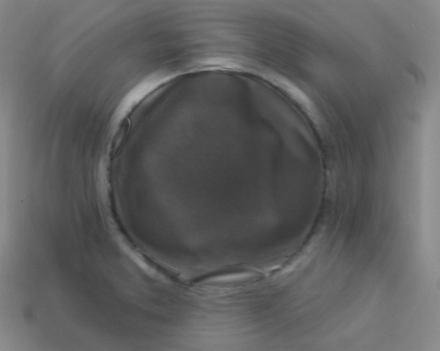 X0000113271373200910081351