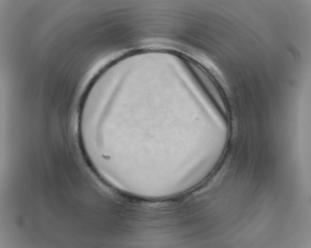 X0000113271376200910081351