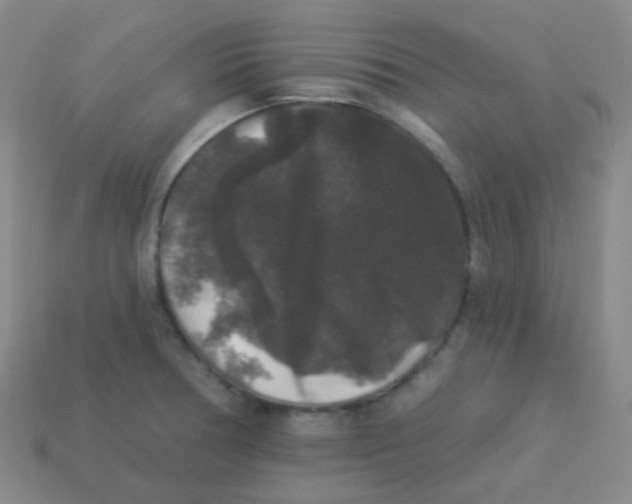 X0000113271378200910081351