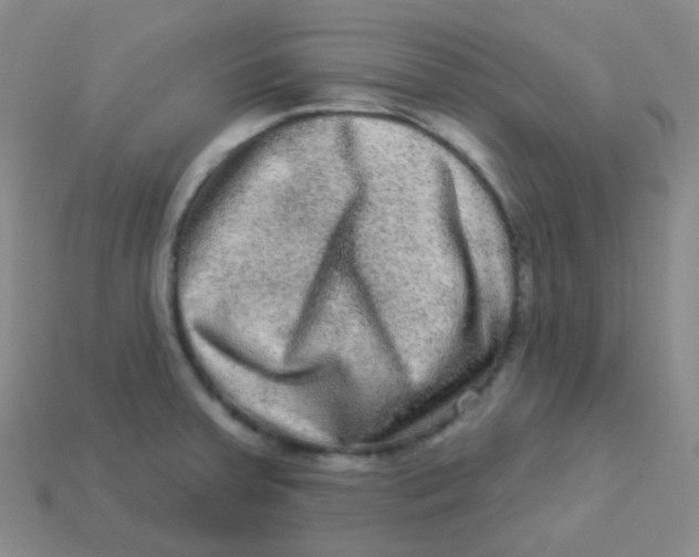 X0000113271379200910081351