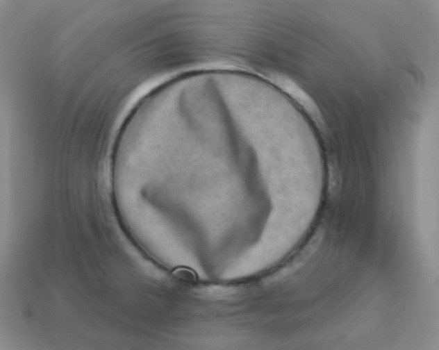 X0000113271380200910081351