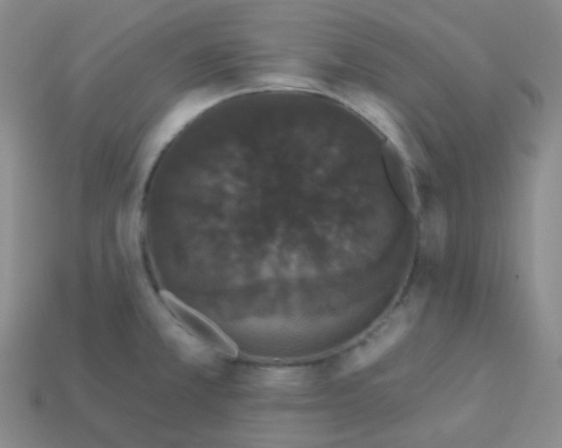 X0000113271381200910081351