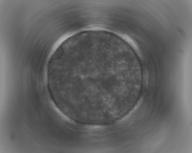 X0000113271382200910081351