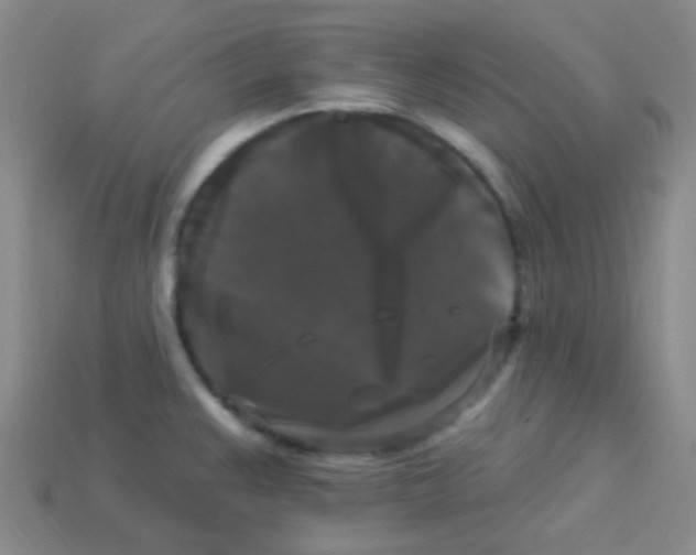 X0000113271383200910081351