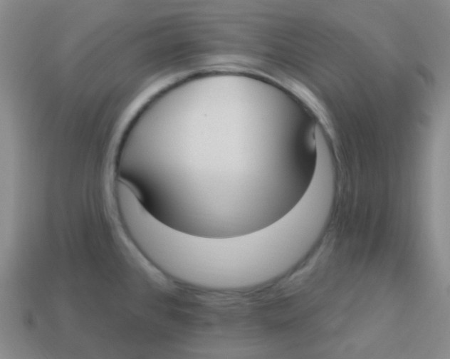 X0000113271384200910081351