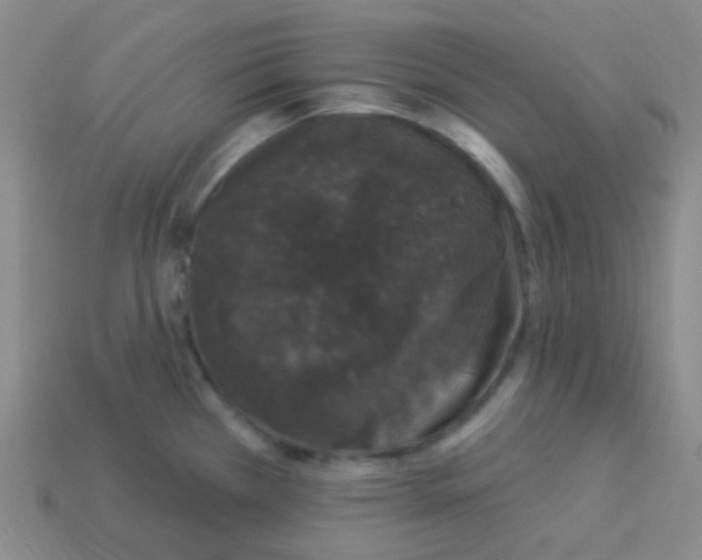 X0000113271385200910081351