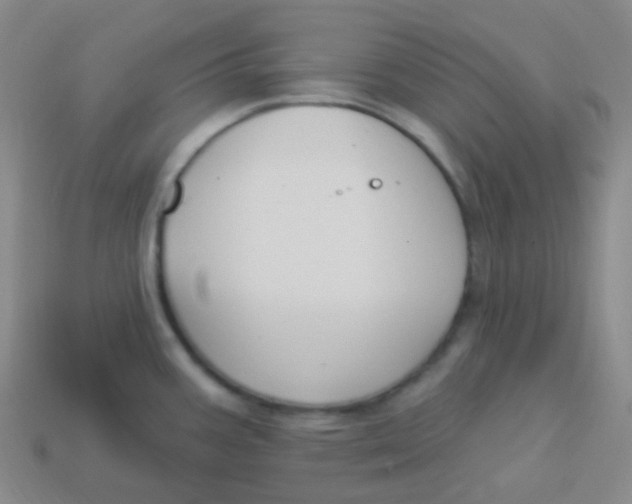 X0000113271387200910081351