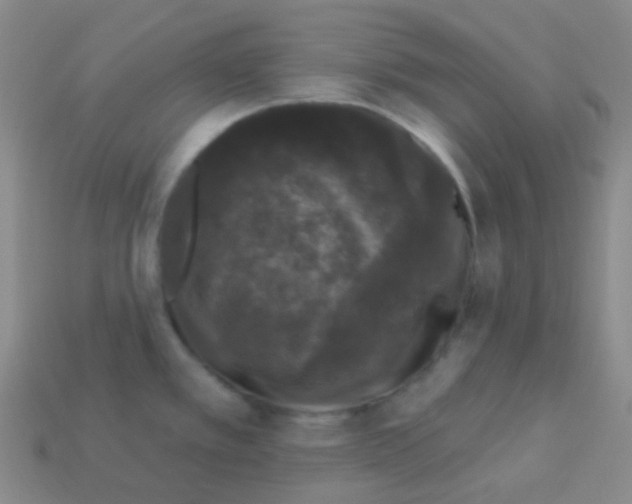 X0000113271389200910081351