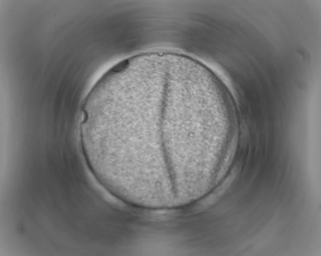 X0000113271390200910081351