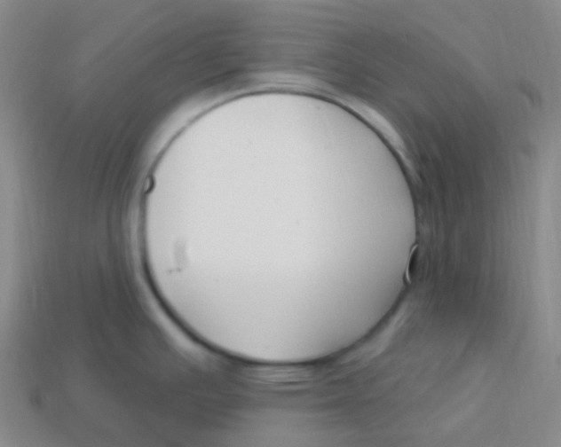 X0000113271391200910081351