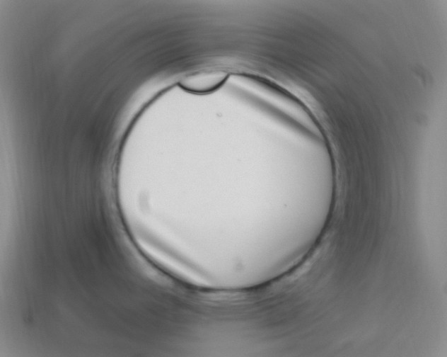 X0000113271392200910081351