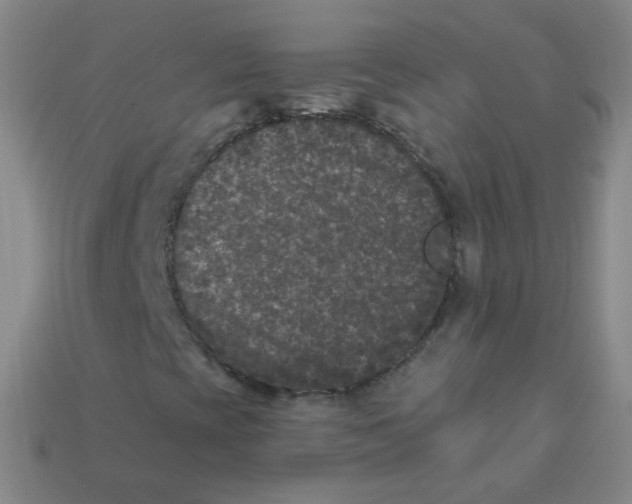 X0000113271393200910081350