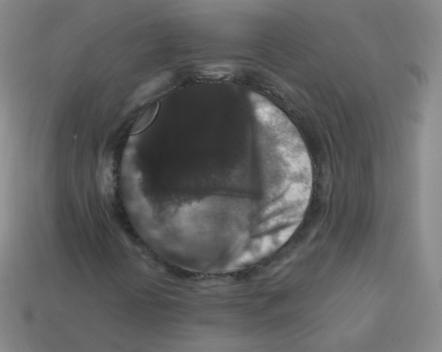 X0000113271394200910081350