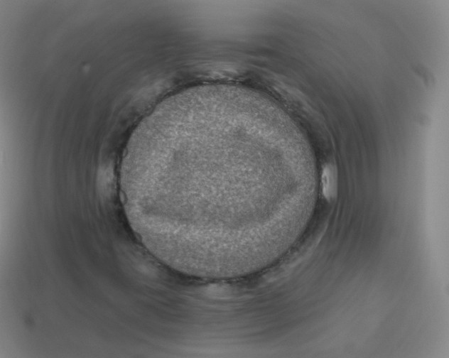 X0000113271395200910081350