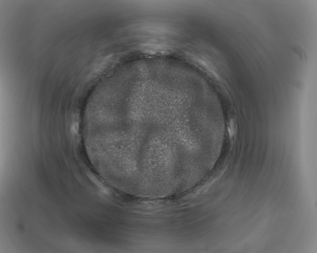 X0000113271396200910081350