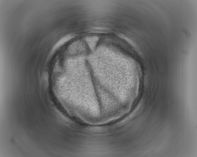 X0000113271402200910081350