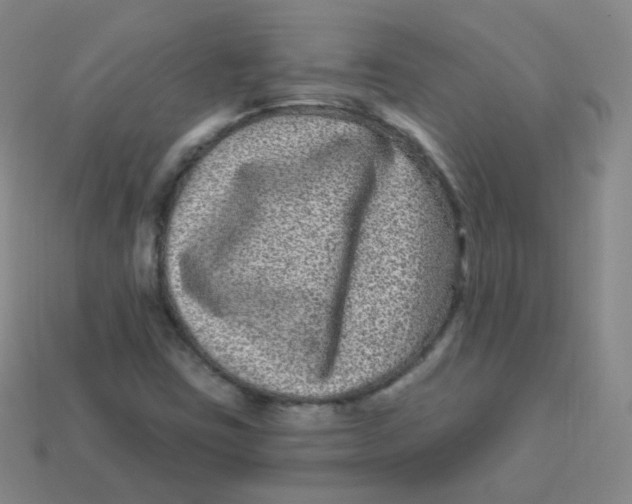 X0000113271403200910081350