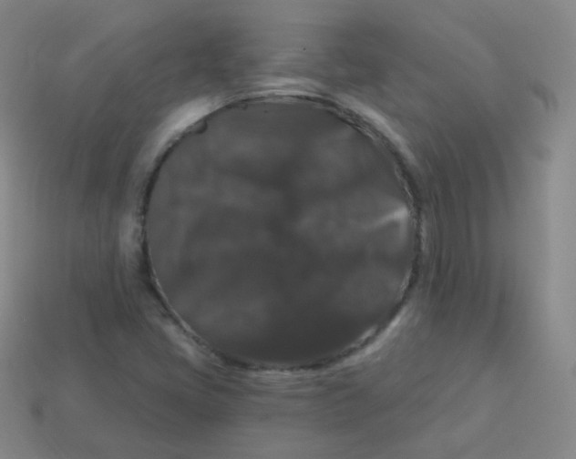 X0000113271405200910081350