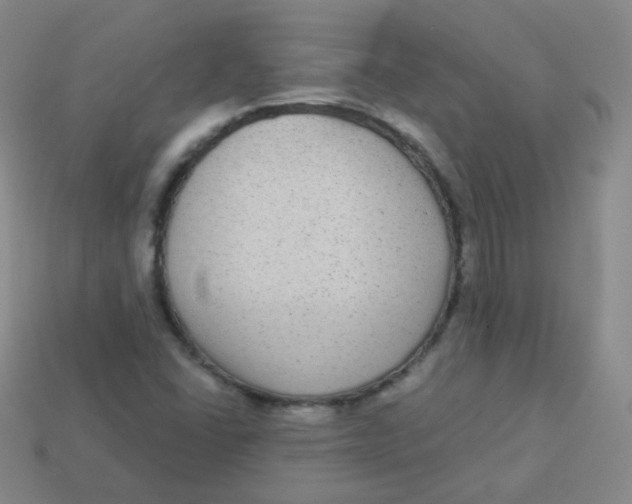 X0000113271406200910081350