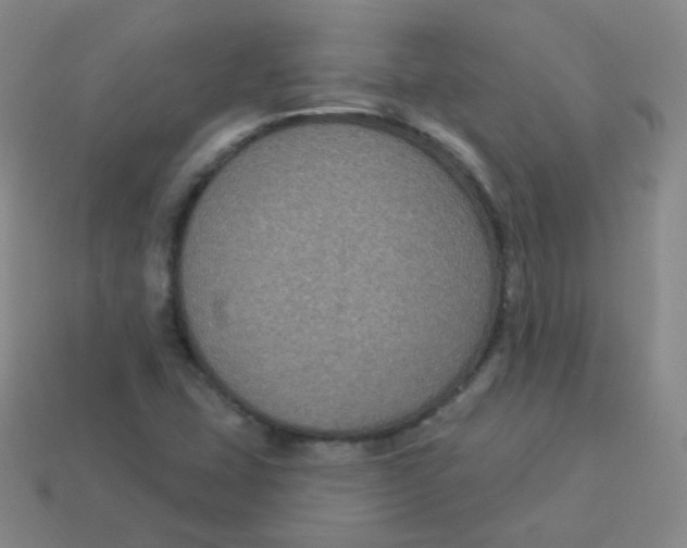 X0000113271407200910081350