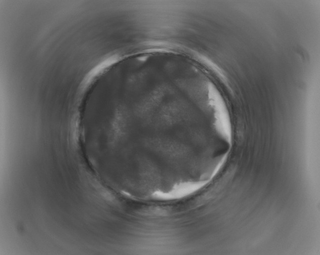 X0000113271411200910081351