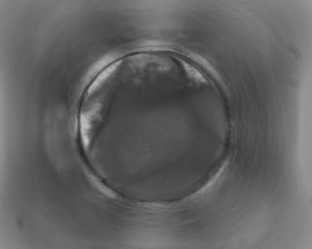 X0000113271413200910081351