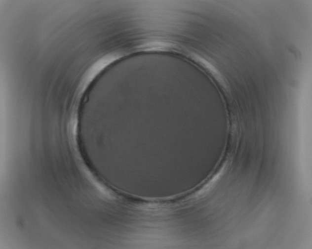 X0000113271418200910081351