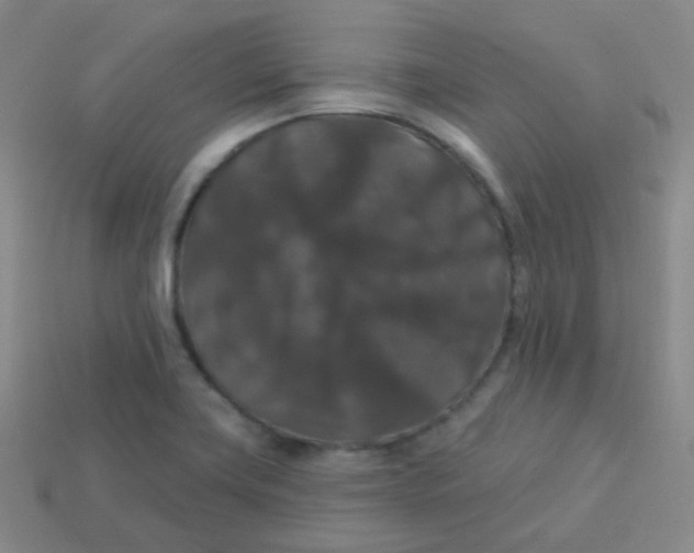 X0000113271419200910081351