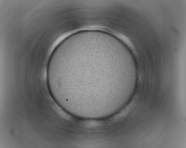 X0000113271420200910081351