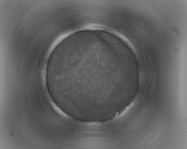 X0000113271421200910081351