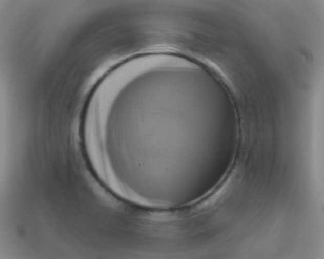 X0000113271422200910081351