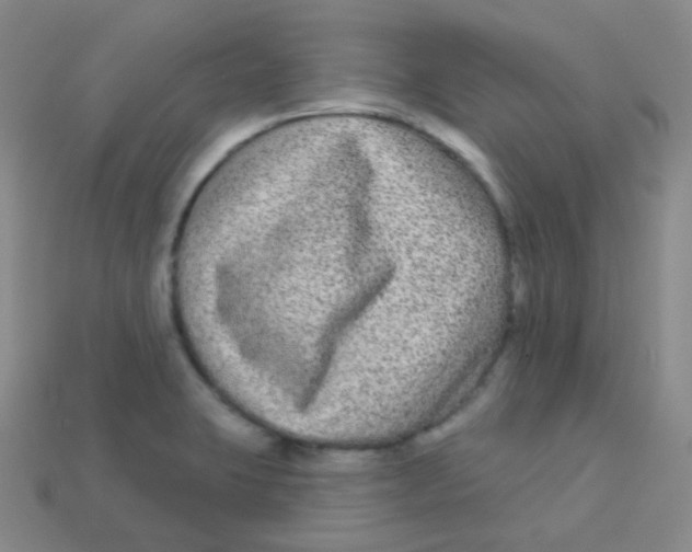 X0000113271423200910081351