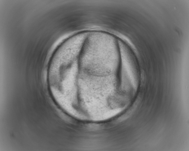 X0000113271424200910081351