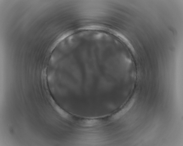 X0000113271425200910081351