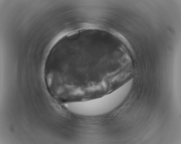 X0000113271427200910081351