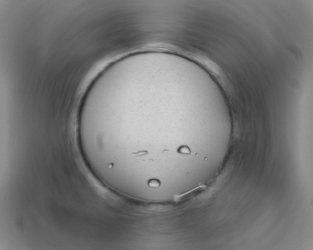 X0000113271430200910081351