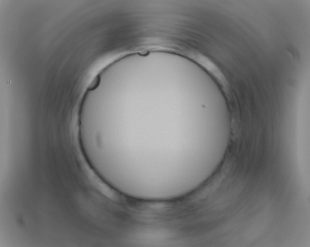 X0000113271431200910081351