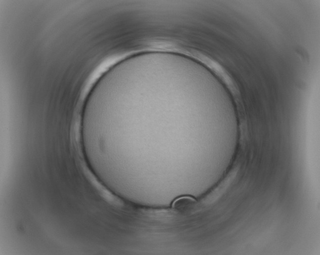 X0000113271432200910081351