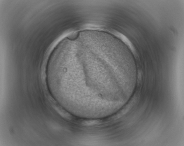 X0000113271435200910081351