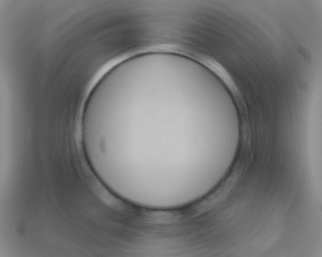 X0000113271436200910081351