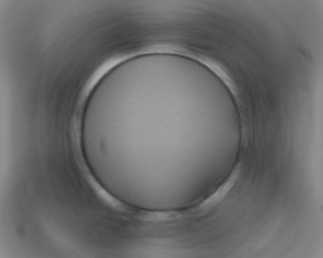 X0000113271438200910081351