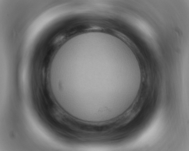 X0000113271439200910081351