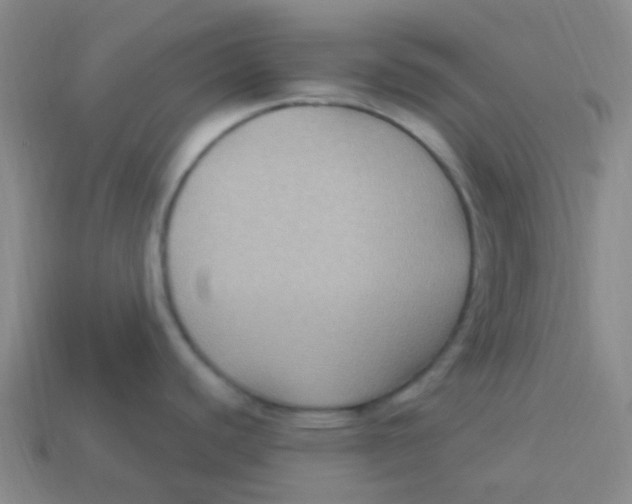 X0000113271440200910081351