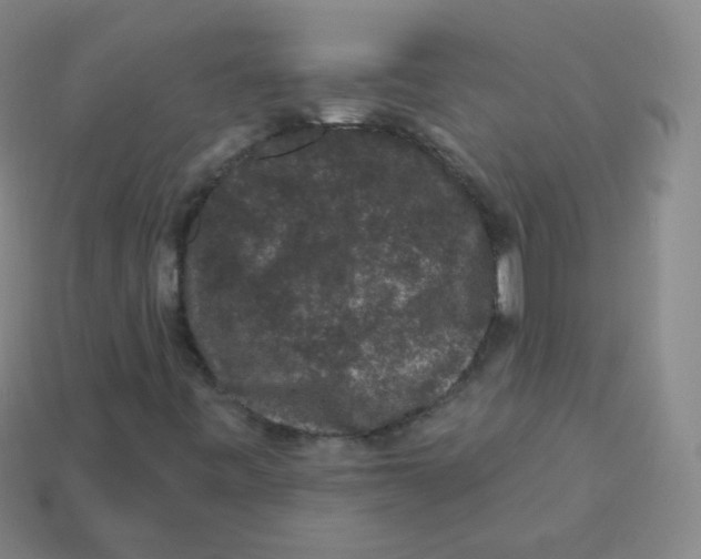 X0000113271443200910081350