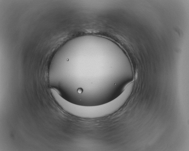 X0000113271444200910081350