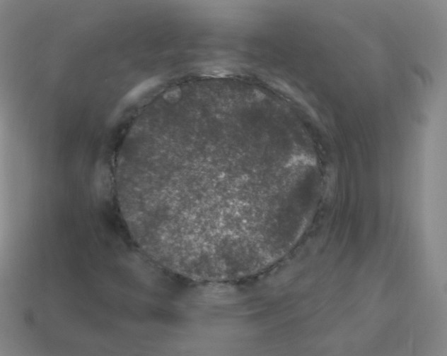 X0000113271446200910081350