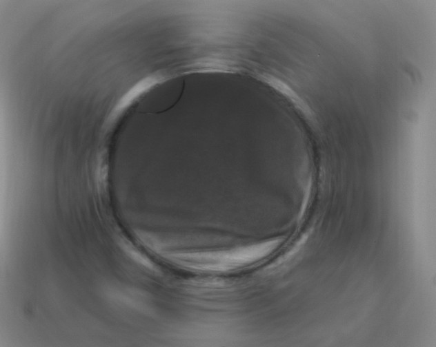 X0000113271450200910081350