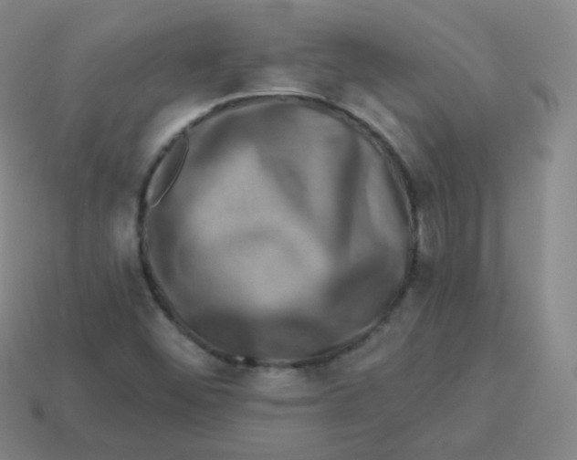 X0000113271452200910081350