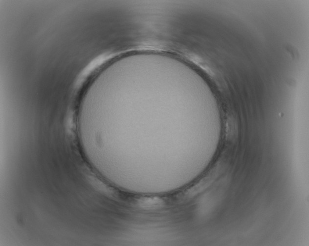 X0000113271454200910081350